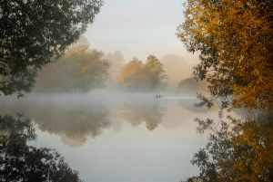 16085_Fotograf_Jens  Jakobsson_Cormorants on misty lake_Fælles dommerdiplom